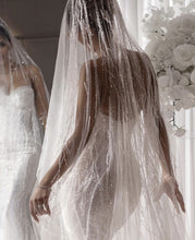 C2023-SB717 - sweetheart strapless beaded wedding gown with veil