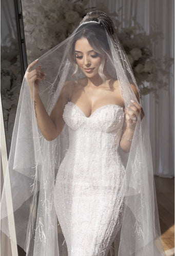 C2023-SB717 - sweetheart strapless beaded wedding gown with veil