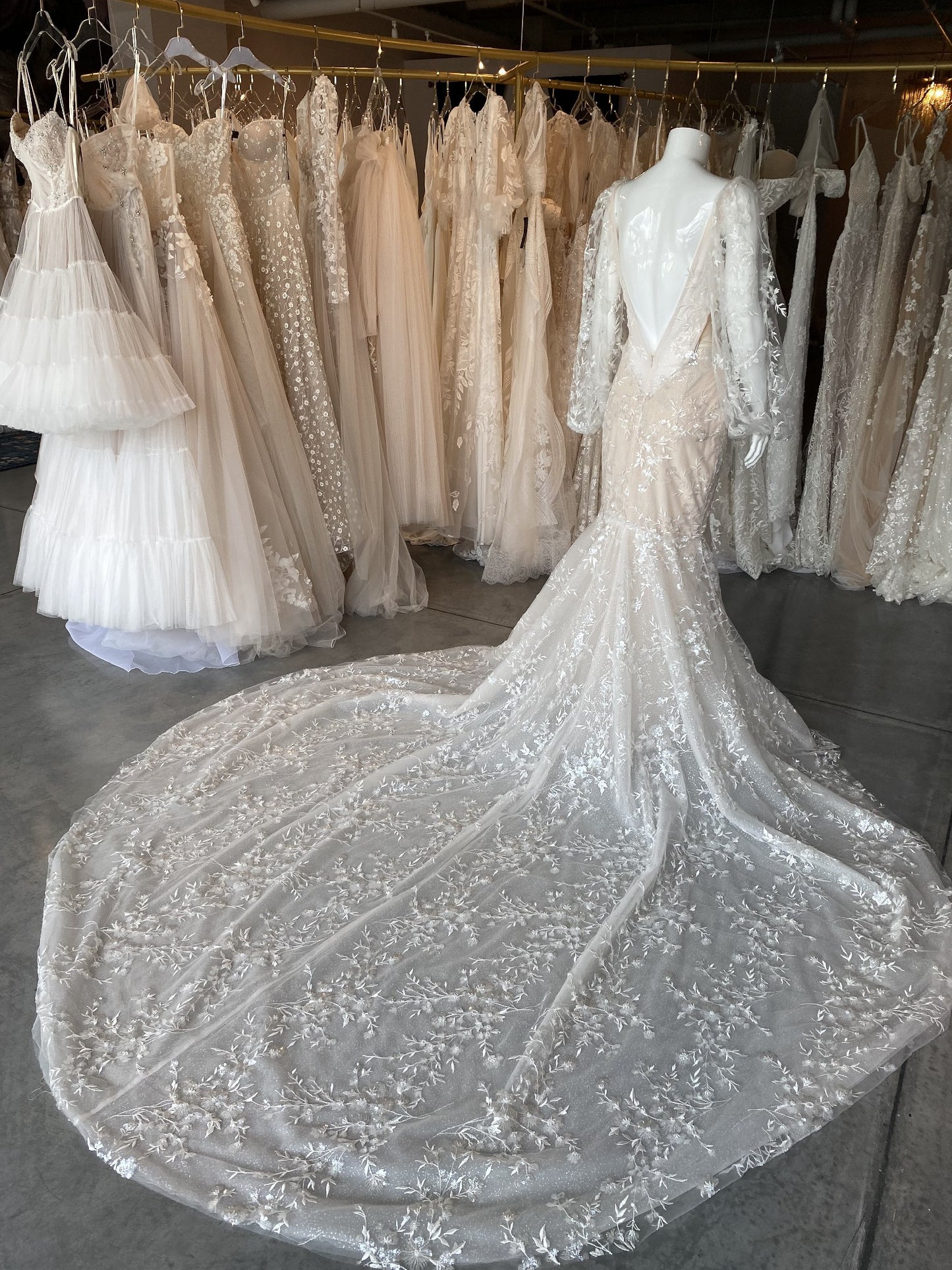 C2023-LSn58 - sheer blousson long sleeve wedding gown