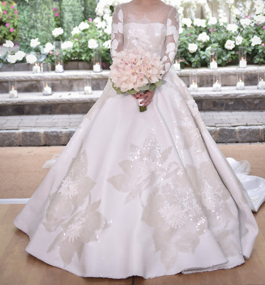 C2023-LSB33 - sheer illusion neckline long sleeve ball gown wedding dress