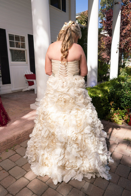 C2024-BG789 - sweetheart strapless plus size wedding dress with ruffled a-line ball gown skirt