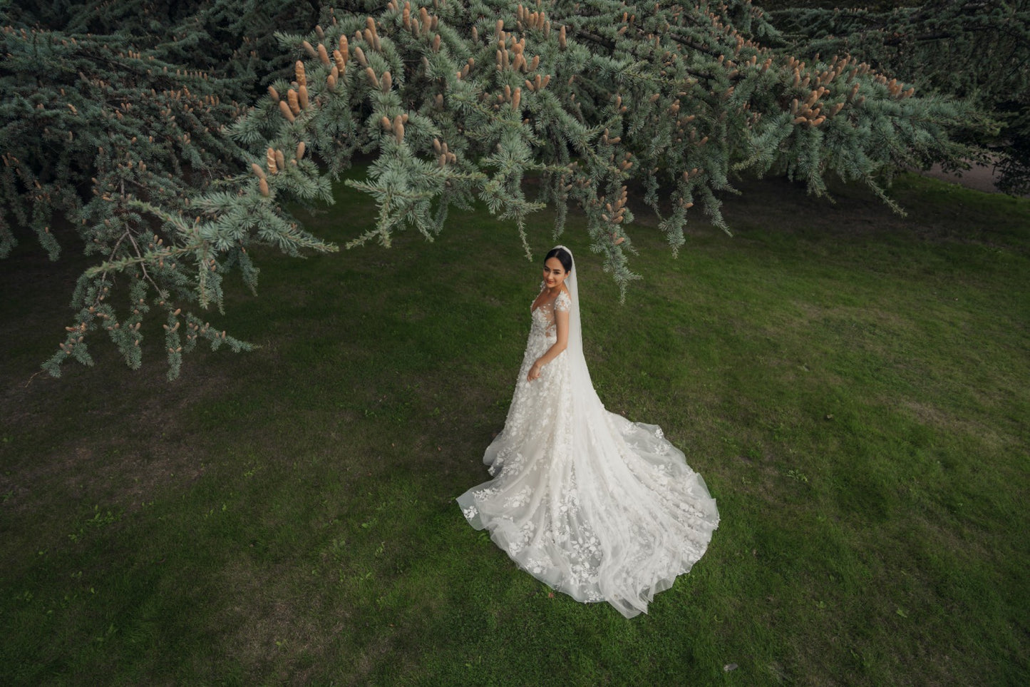 C2024-CS - robe de mariée trapèze à manches courtes avec décolleté en V transparent illusion