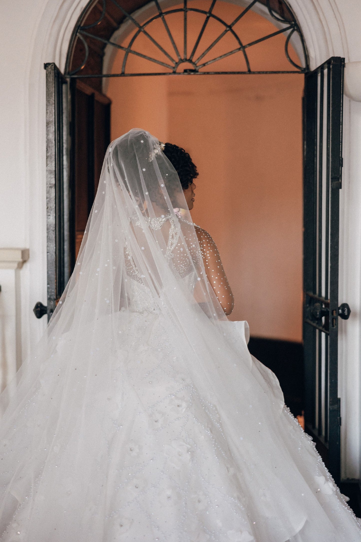 C2025-EA2940 - crystal bling collar ball gown wedding dress