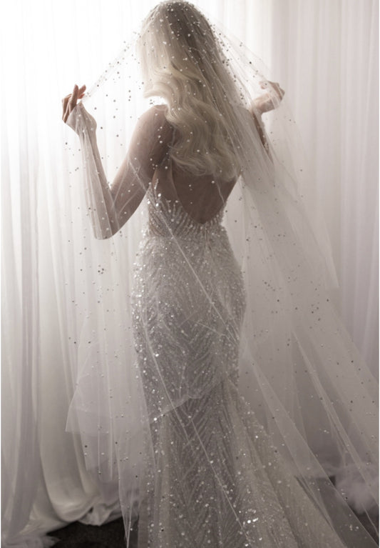C2024-LDG61 - Sexy deep v-neck beaded wedding gown
