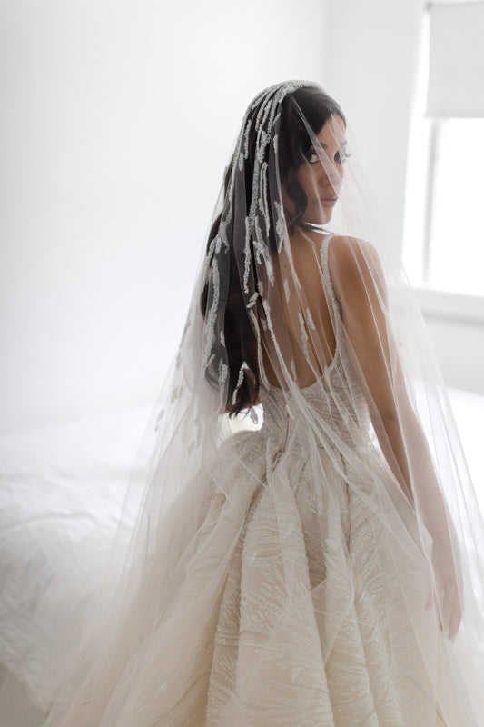 C2023-BGR46 - spaghetti strap beaded formal ball gown wedding dress