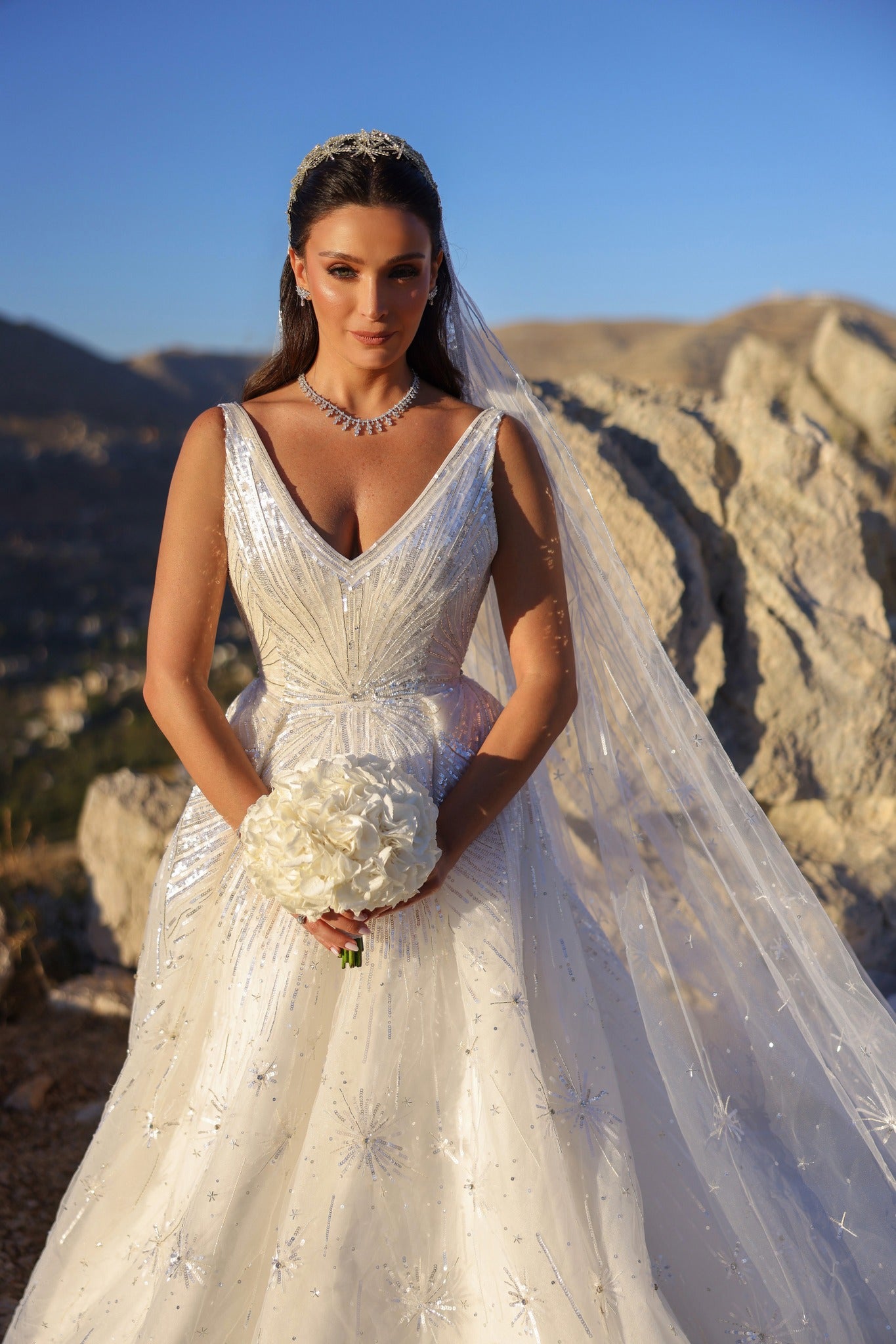 C2023-VBG72 - sexy sleeveless v-neck formal ball gown wedding dress