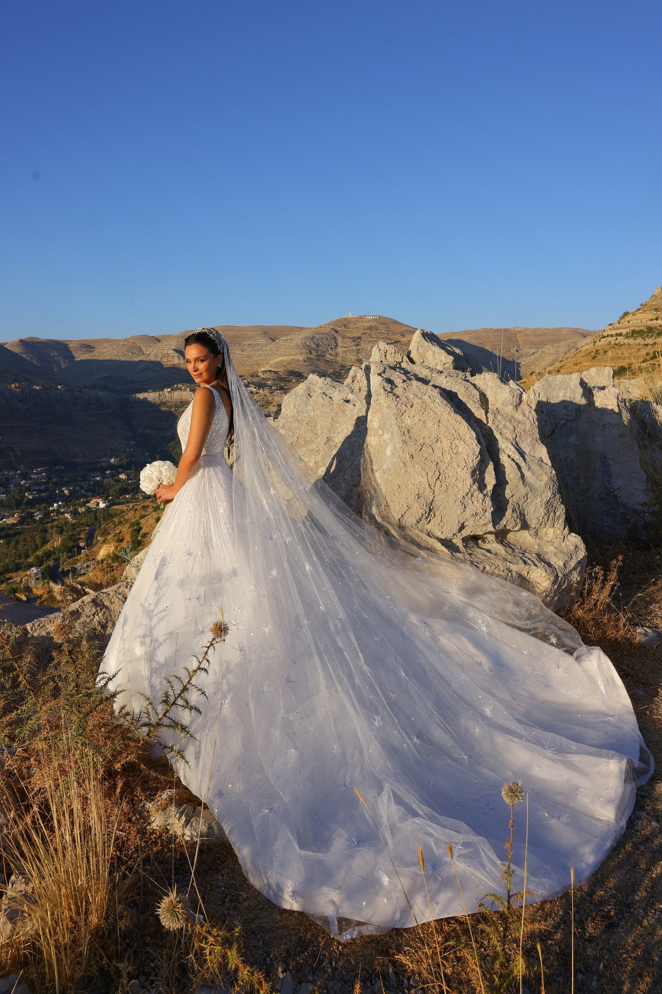 C2023-VBG72 - sexy sleeveless v-neck formal ball gown wedding dress