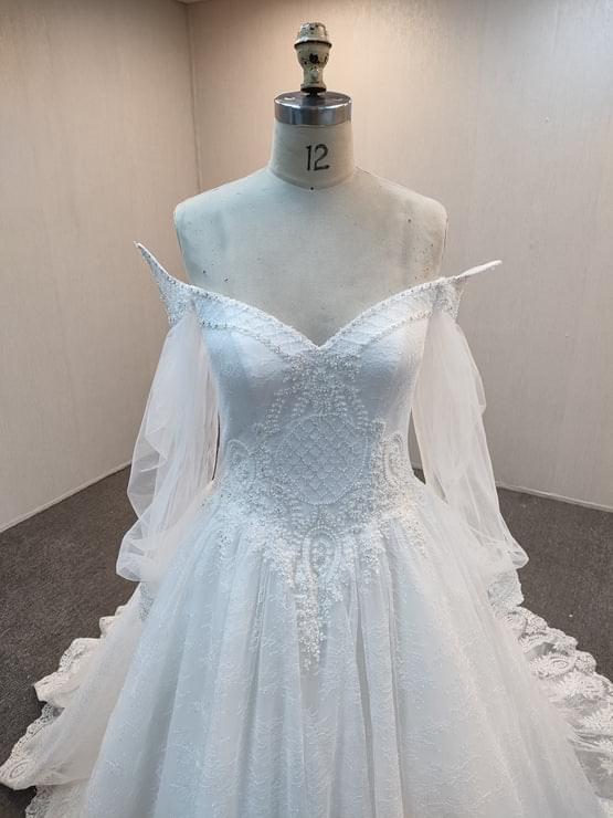 C2021-CMurphy Sheer long sleeve off the shoulder ball gown wedding dress
