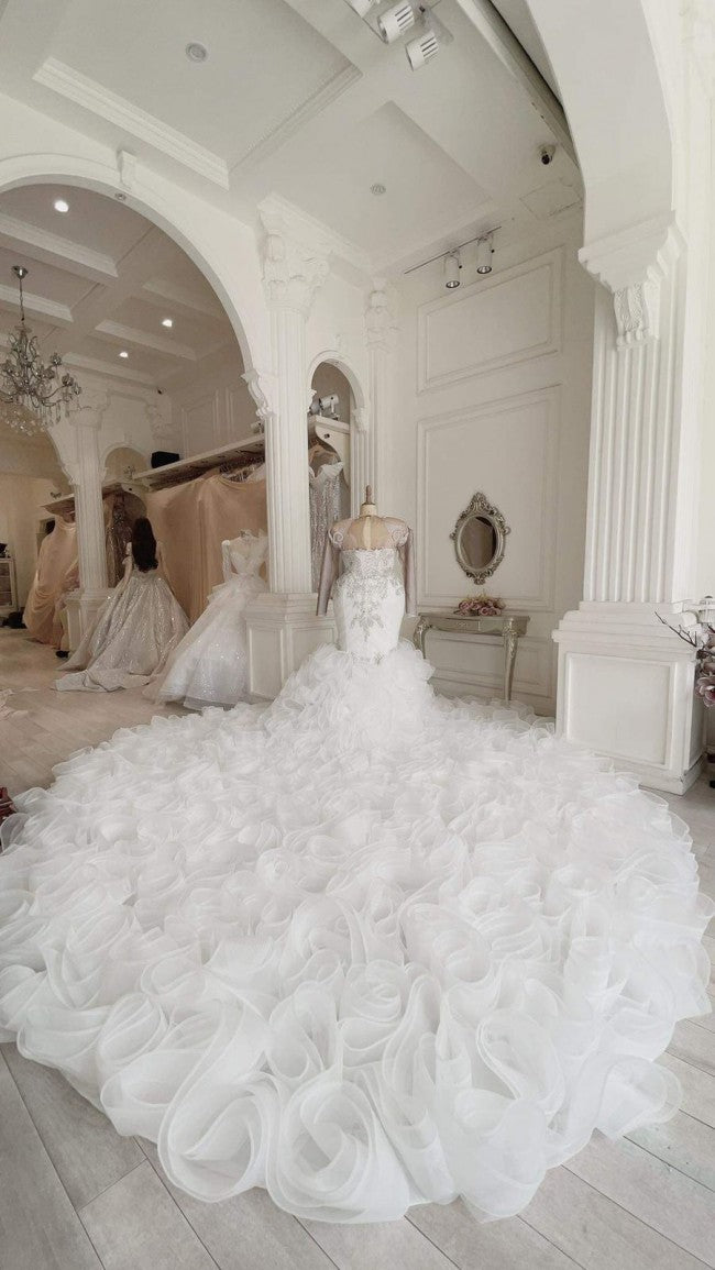 C2022-SLS69: vestido de novia de talla grande, entallado y con vuelo, con pedrería, escote ilusión transparente, mangas largas y adornos brillantes