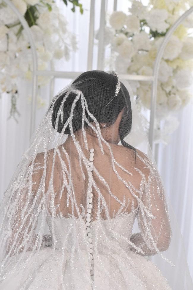 Robe de mariée transparente à manches longues et perles, C2022-BB2T7