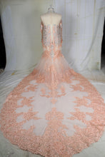 C2021-DionysiaRS Pastel long sleeve plus size wedding gown